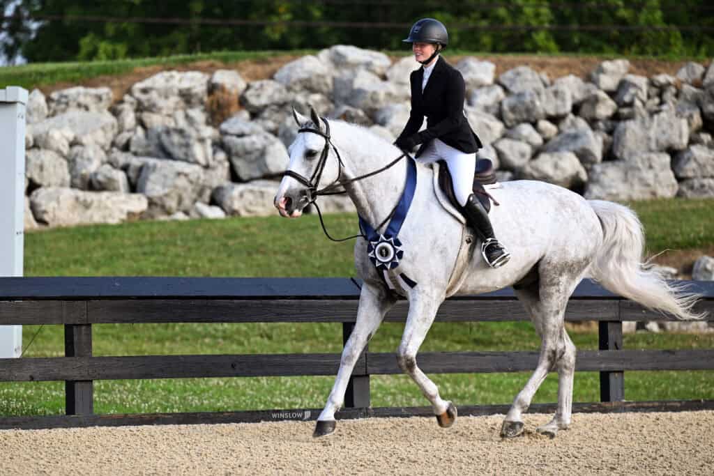 A rider in a black jacket and helmet guides a white horse with a large ribbon along a fenced, sandy arena with rocks and grass in the background.