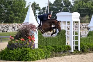 A horse and rider jump over a hedge obstacle decorated with plants and a white structure resembling a phone booth during an equestrian event.