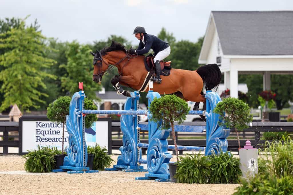 Equestrian rider on a brown horse jumps over a blue obstacle during a show jumping competition at an outdoor arena.