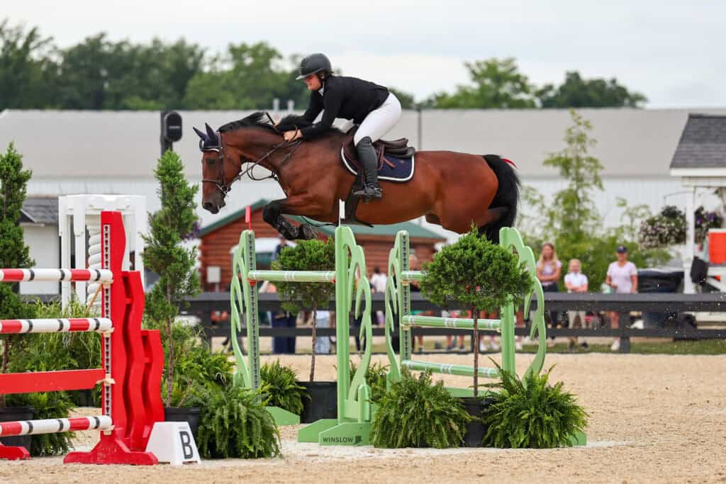 A rider in equestrian gear jumps a brown horse over a green obstacle during a show jumping competition on an outdoor arena.