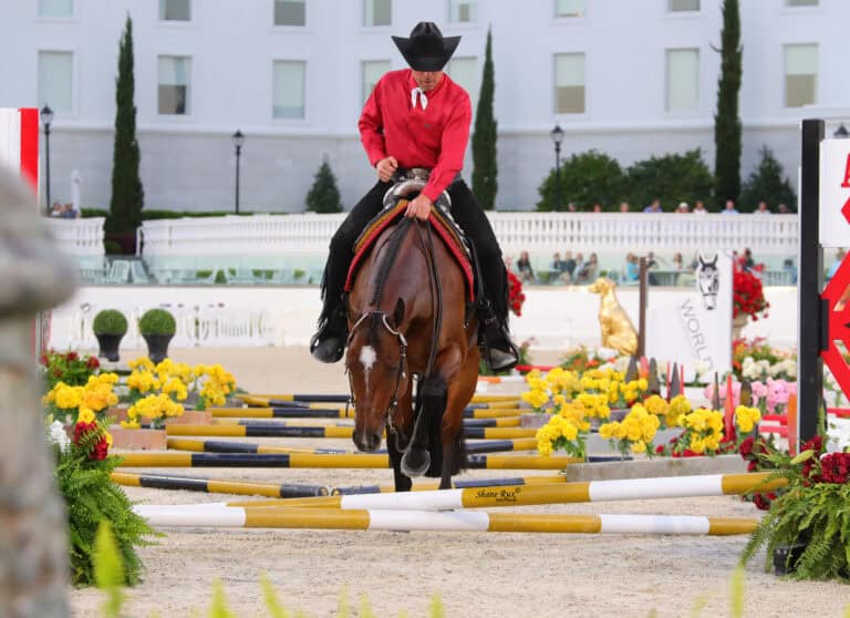 A rider in a red shirt and black cowboy hat guides a horse through a course with yellow and black poles in an outdoor arena decorated with flowers.