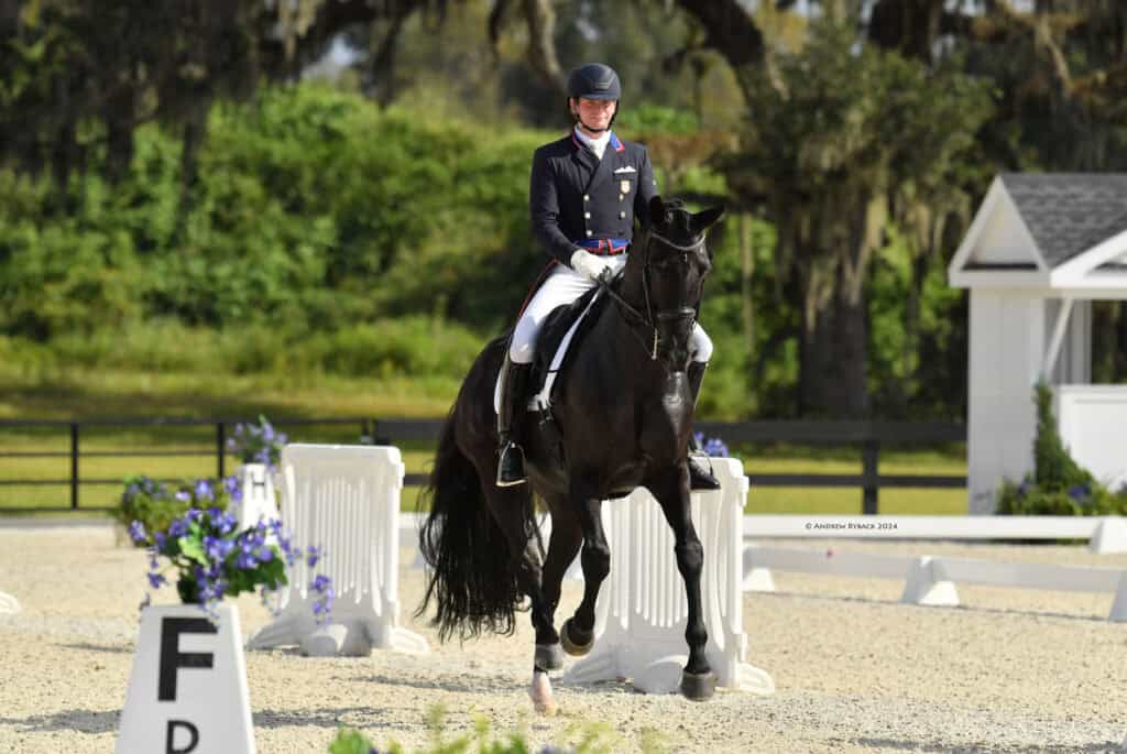 A rider in formal equestrian attire guides a black horse through a dressage arena marked with white barriers and letters, surrounded by greenery.