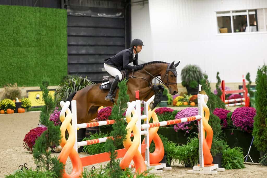 A rider in equestrian attire guides a horse over a brightly colored jump in an indoor arena decorated with plants and flowers.