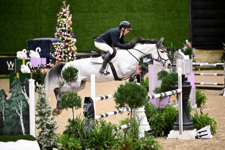 A rider in equestrian gear guides a gray horse over a jump during an indoor show jumping competition with festive decorations in the background.