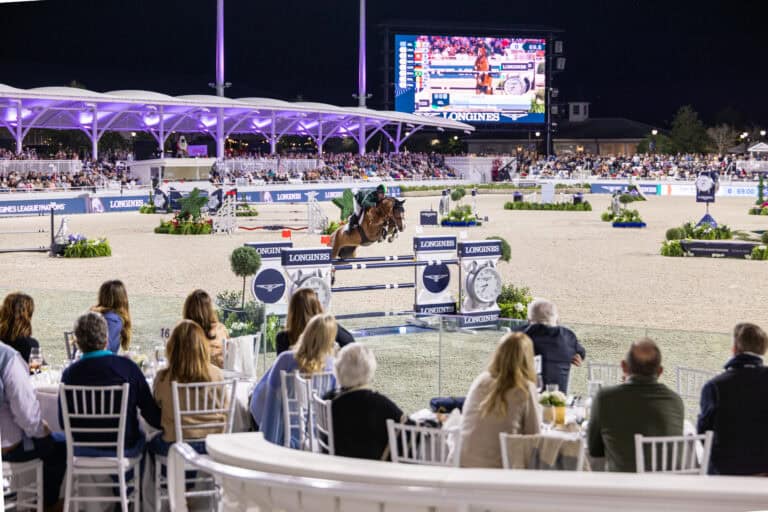 A horse and rider jump over an obstacle at a nighttime equestrian event, while spectators watch from a seating area and a large screen displays scores.