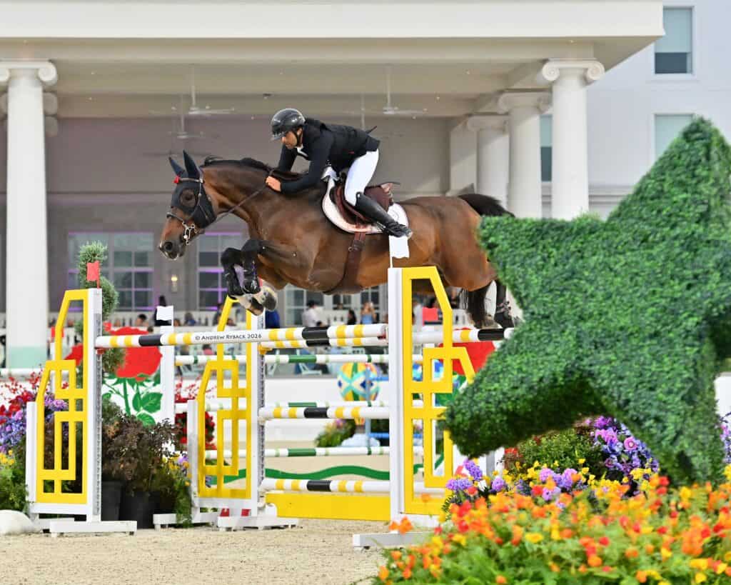 Equestrian rider in black jacket and helmet jumps a brown horse over a yellow and white obstacle at an outdoor competition.