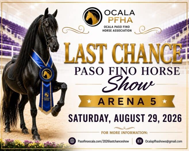A black horse with a blue ribbon stands in an arena. Text reads: Ocala PFHA Last Chance Paso Fino Horse Show, Arena 5, Saturday, August 29, 2026. Event and contact info included.