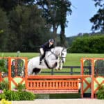 Equestrian rider in black attire jumps a white horse over an orange fence in an outdoor arena with green grass and trees in the background.