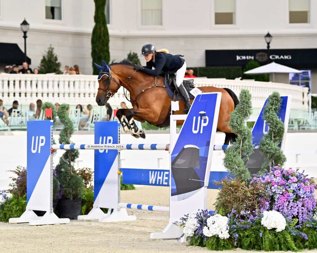 A rider in a helmet and jacket guides a horse over a blue and white jump during an equestrian event, with spectators and flowers in the background.