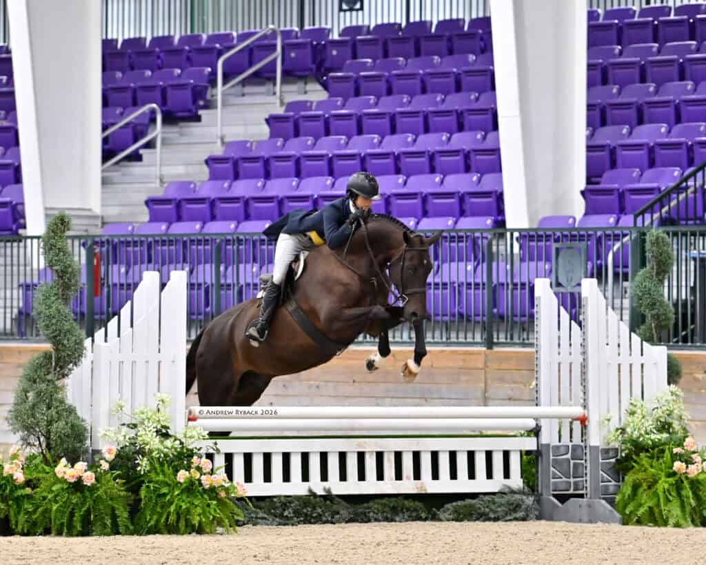 An equestrian rider and horse jump over an obstacle in an indoor arena with purple seats and floral decorations.