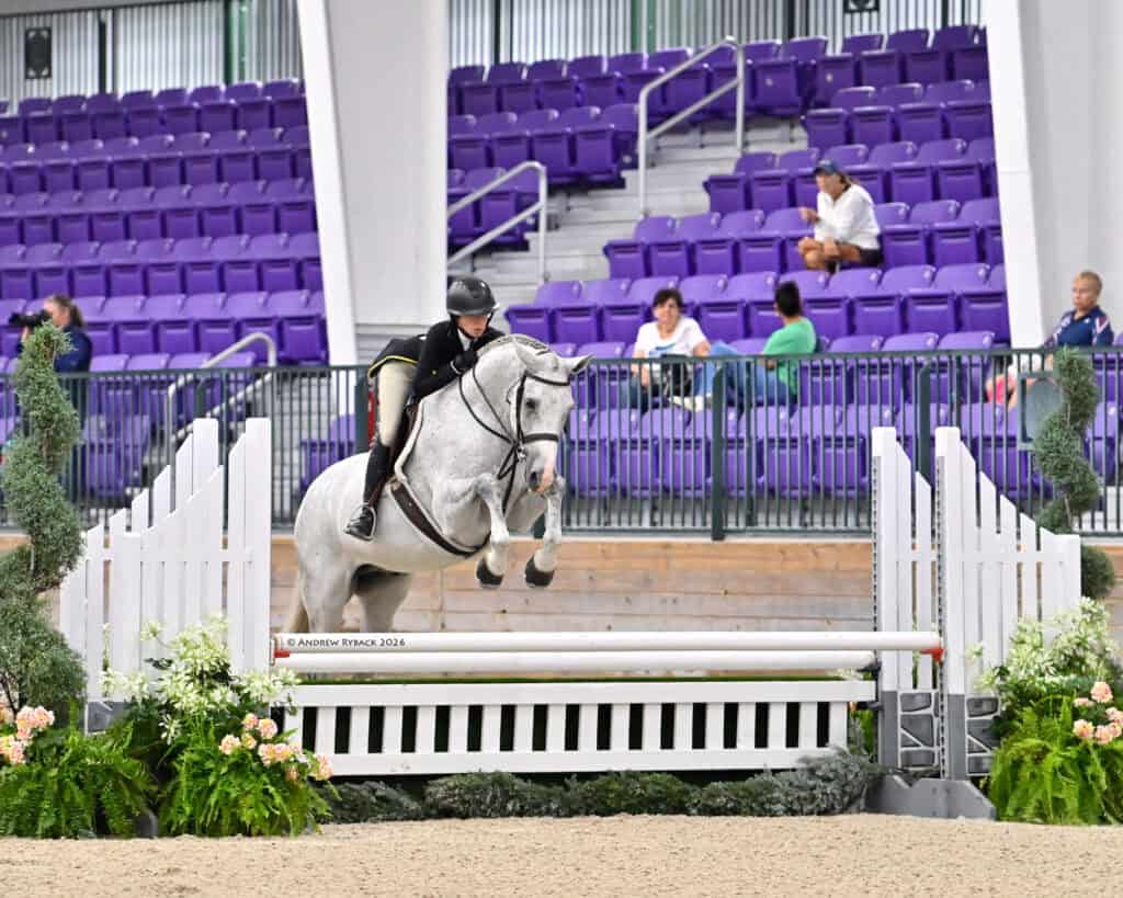 A rider on a gray horse jumps over an obstacle in an arena with purple seats and a few spectators in the background.