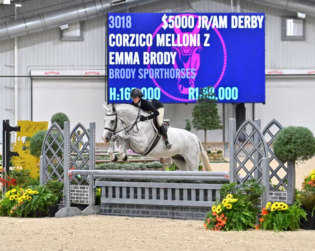A rider on a white horse jumps over an obstacle in an indoor arena, with a large scoreboard in the background displaying competition information.