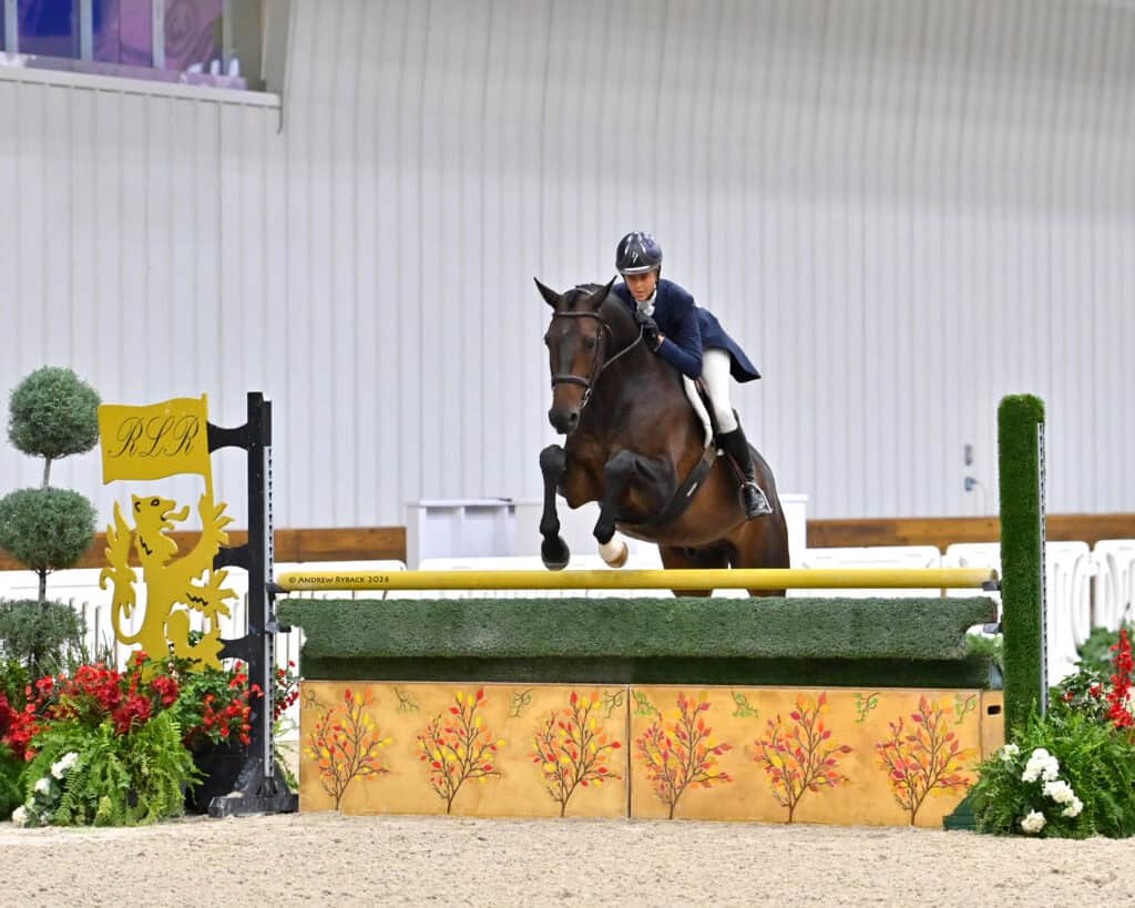 A rider on a dark brown horse jumps over a decorated obstacle during an indoor equestrian event.