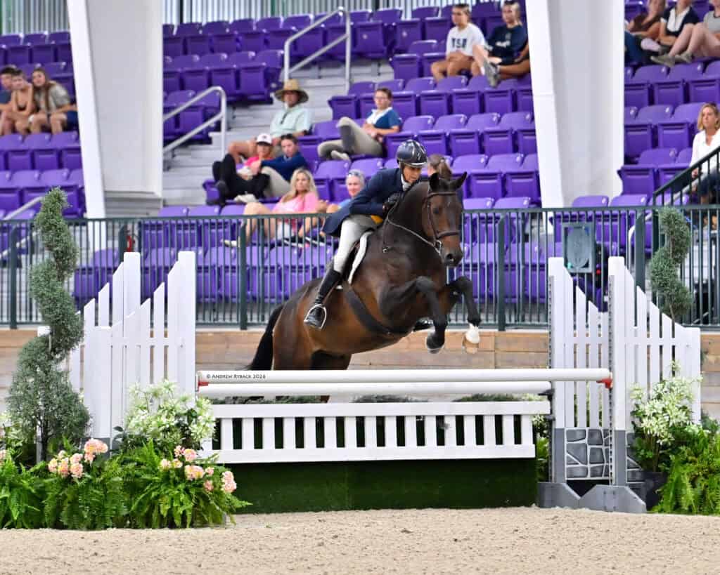 A rider on a brown horse jumps over a white fence during an equestrian competition in an arena with purple seats and spectators in the background.