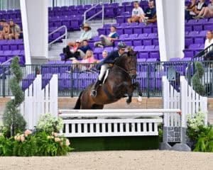 A rider on a brown horse jumps over a white fence during an equestrian competition in an arena with purple seats and spectators in the background.