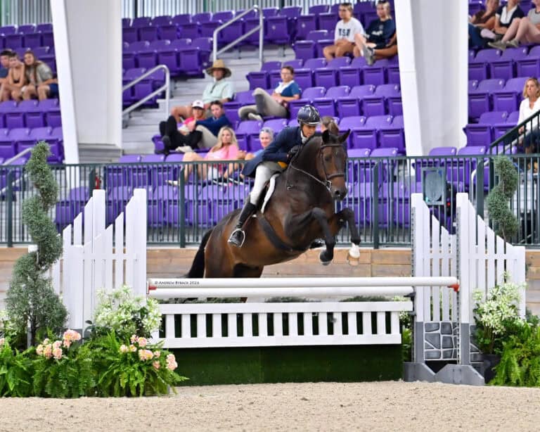 A rider on a brown horse jumps over a white fence during an equestrian competition in an arena with purple seats and spectators in the background.