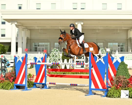 A rider in equestrian attire jumps a brown horse over a red, white, and blue obstacle in an outdoor arena.