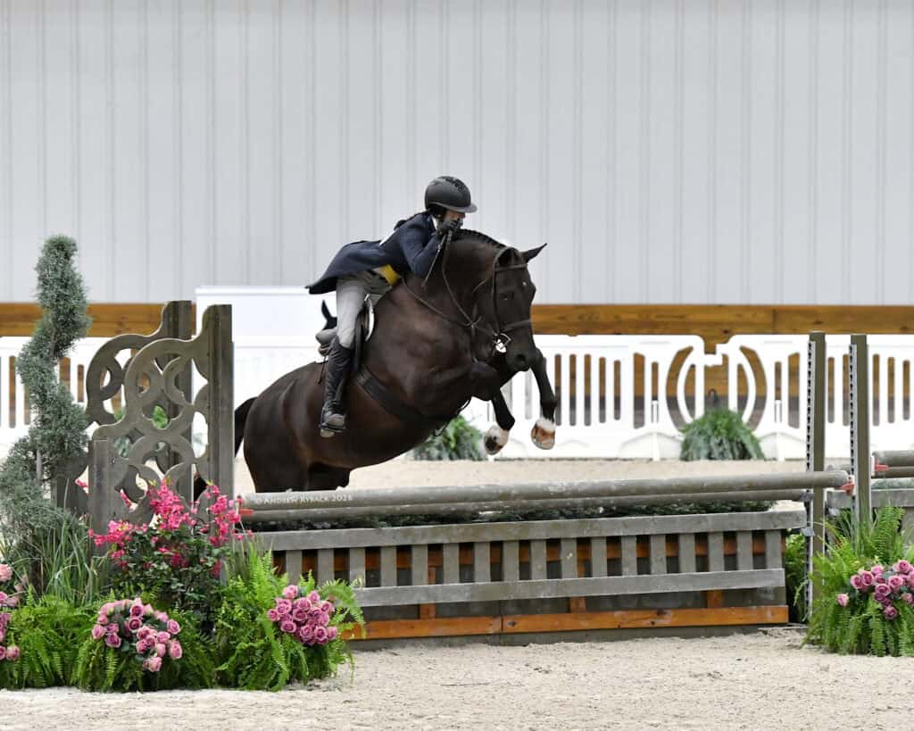 Equestrian rider on a dark horse jumps over an obstacle in an indoor arena decorated with flowers and greenery.