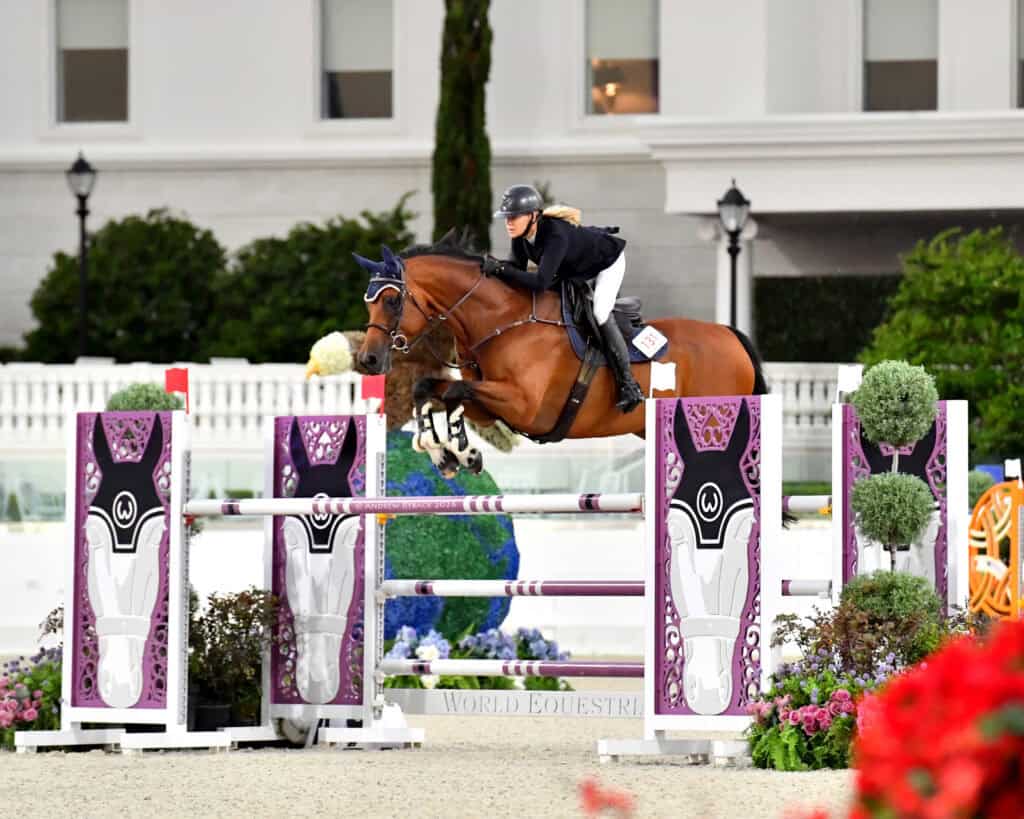 A rider in equestrian gear jumps a brown horse over a purple and white obstacle at an outdoor equestrian event.