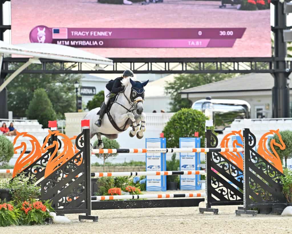 A rider in formal attire guides a white horse over a black and orange jump during an equestrian event with a scoreboard in the background.