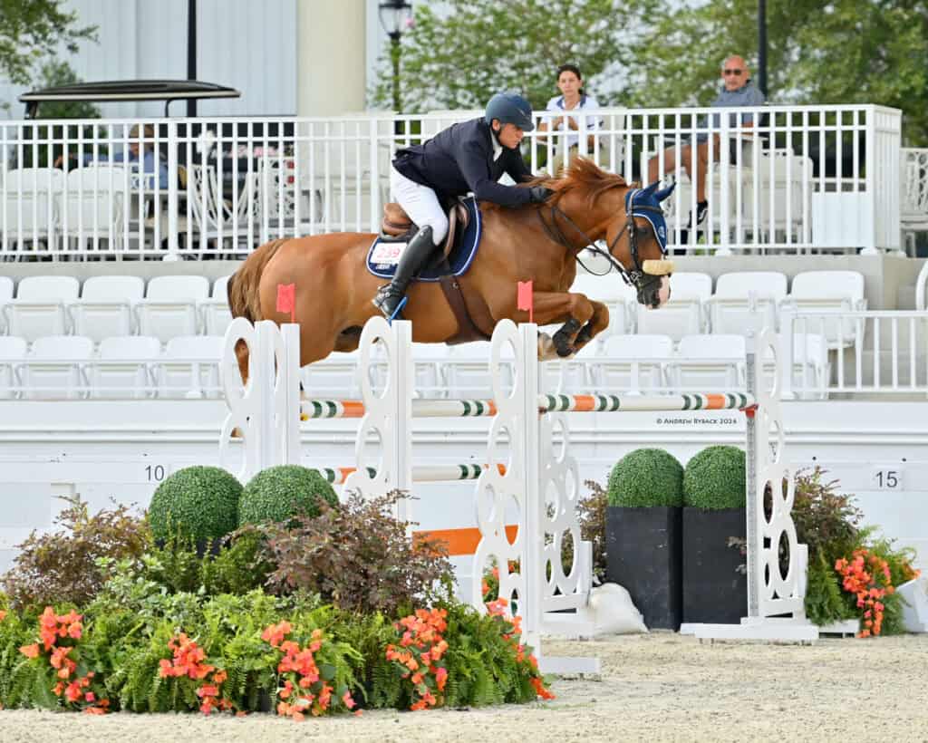 A rider in formal attire guides a chestnut horse over a white and orange show jumping obstacle in an outdoor arena with empty spectator seating.
