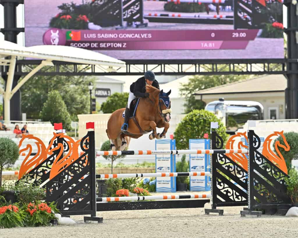 A rider and horse mid-jump over an obstacle during an equestrian event, with a scoreboard and audience seats visible in the background.
