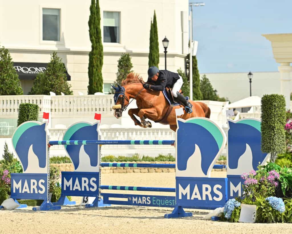 A rider in a helmet and jacket jumps a brown horse over a blue and green obstacle in an outdoor equestrian arena.