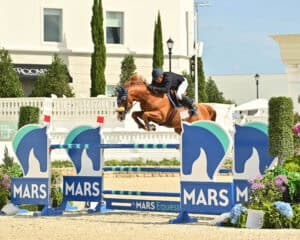 A rider in a helmet and jacket jumps a brown horse over a blue and green obstacle in an outdoor equestrian arena.