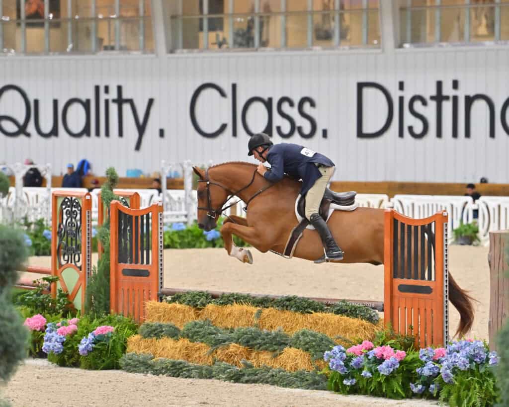 Equestrian rider in formal attire jumps a brown horse over a colorful obstacle during an indoor competition. Large sign with the words "Quality. Class. Distin..." is visible behind.