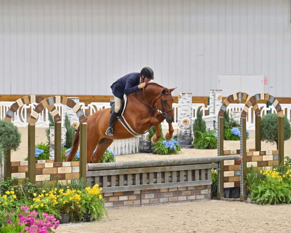 A rider in formal attire jumps a brown horse over a fence inside an indoor equestrian arena with decorative plants and barriers.