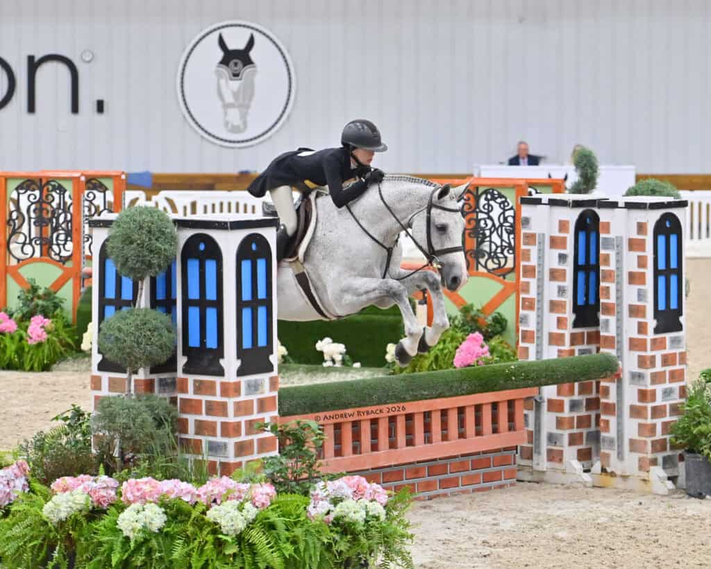 A rider in black attire jumps a gray horse over a green and brick obstacle in an indoor equestrian arena with floral decorations.