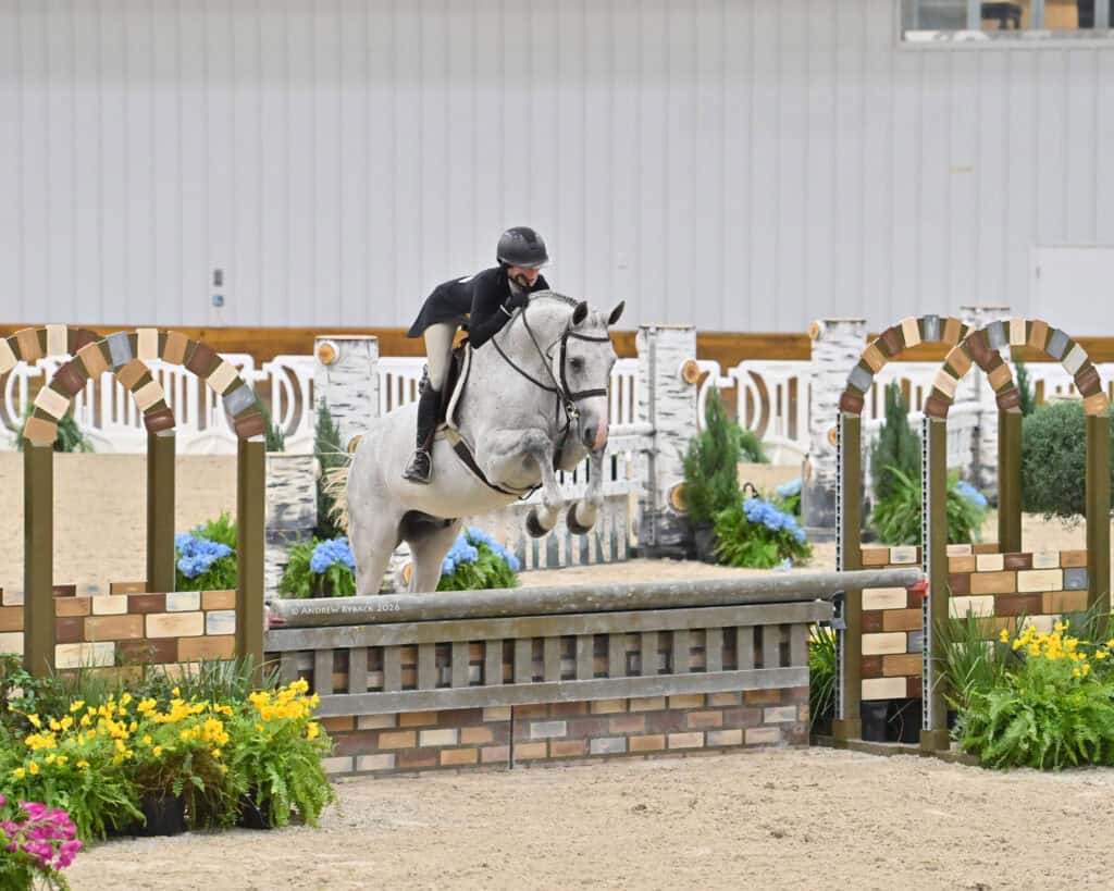 A person wearing a helmet rides a white horse as it jumps over an obstacle during an indoor equestrian event.