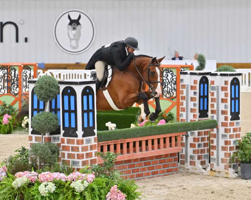 A rider in show attire guides a horse over a brick-patterned jump in an indoor equestrian arena with plants and decorative obstacles.
