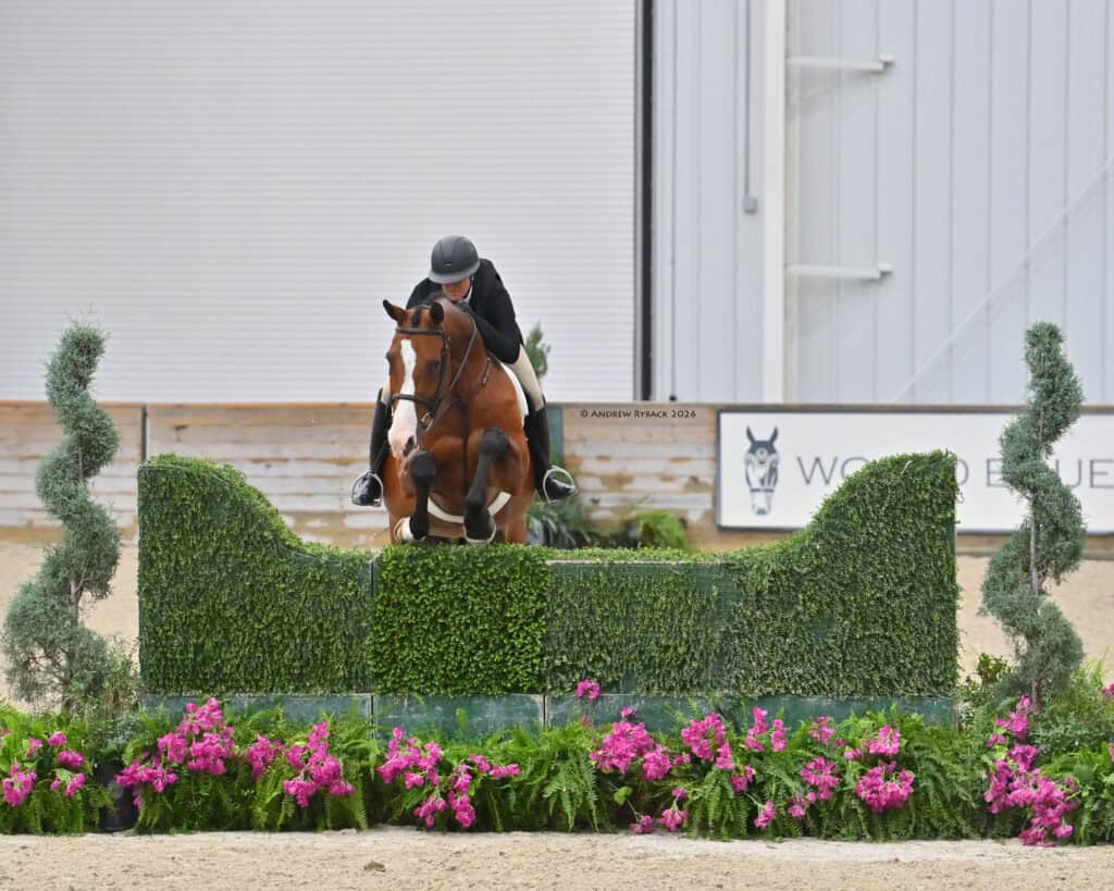 A horse and rider jump over a green hedge obstacle decorated with pink flowers in an indoor equestrian arena.