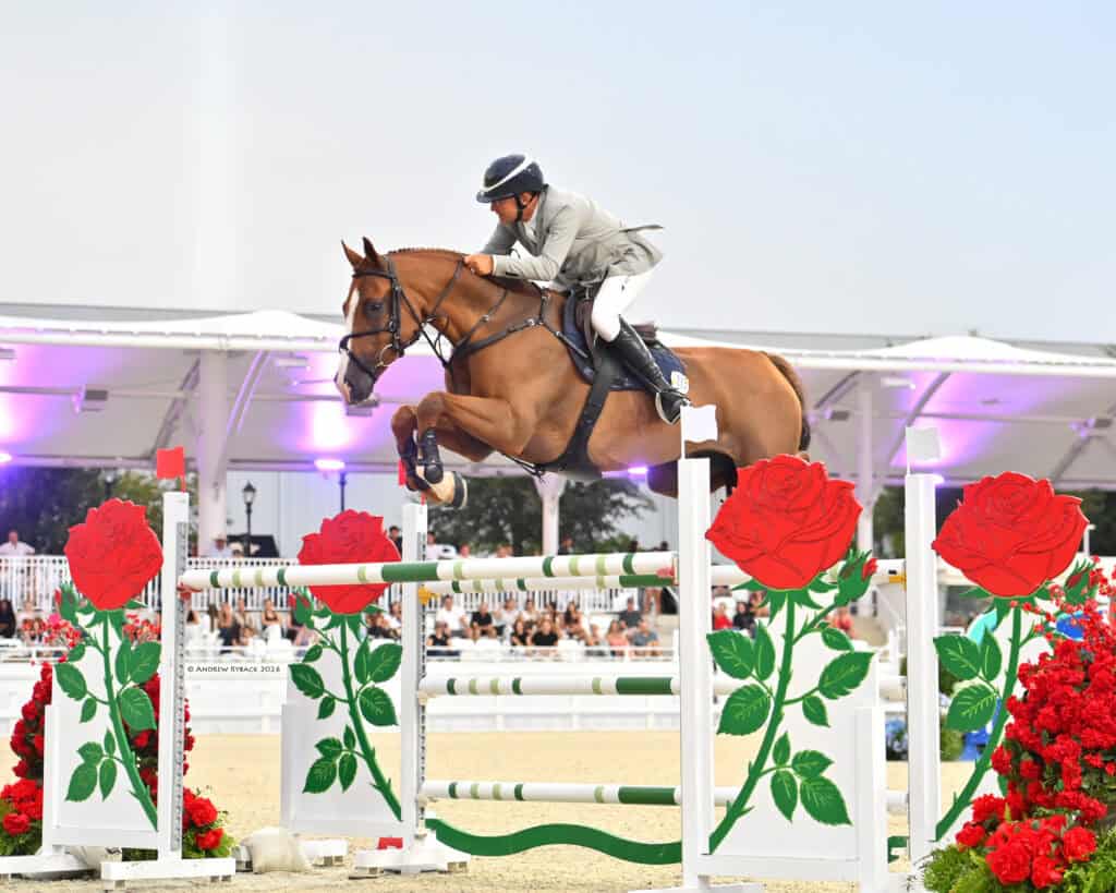 Equestrian rider in a gray jacket jumps a brown horse over a red rose-decorated obstacle during a show jumping event.