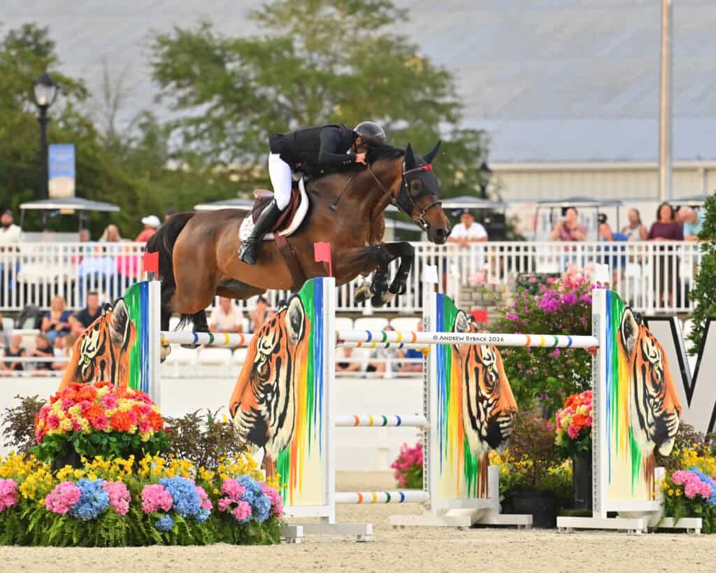 A horse and rider jump over a colorful obstacle decorated with tiger faces during an equestrian event, with spectators watching in the background.