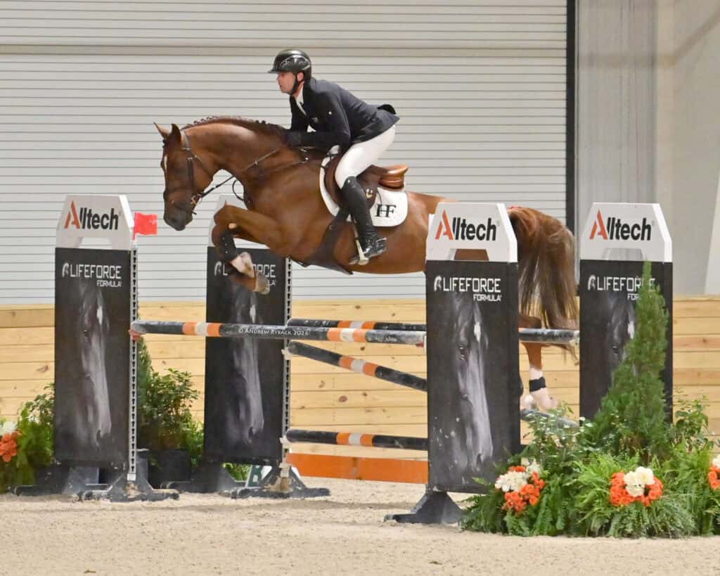 Equestrian rider in black jacket and helmet jumps a brown horse over a black and orange hurdle in an indoor arena.