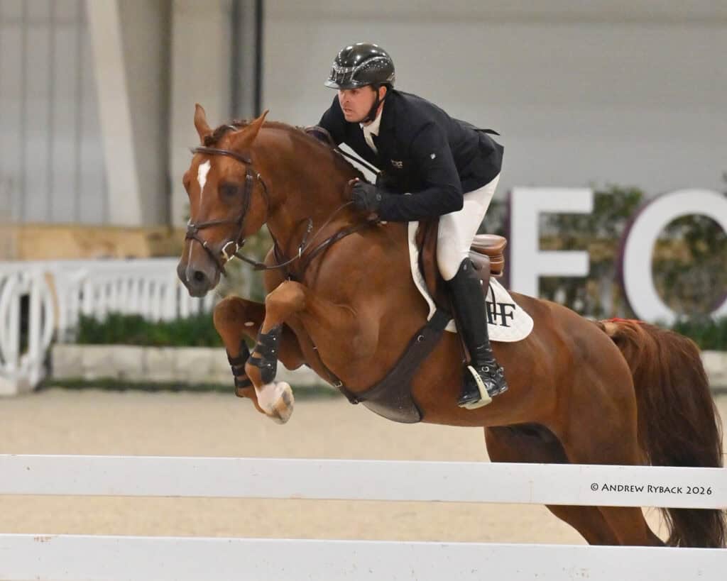 A rider in a black helmet and jacket guides a chestnut horse over a white jump during an indoor equestrian event.