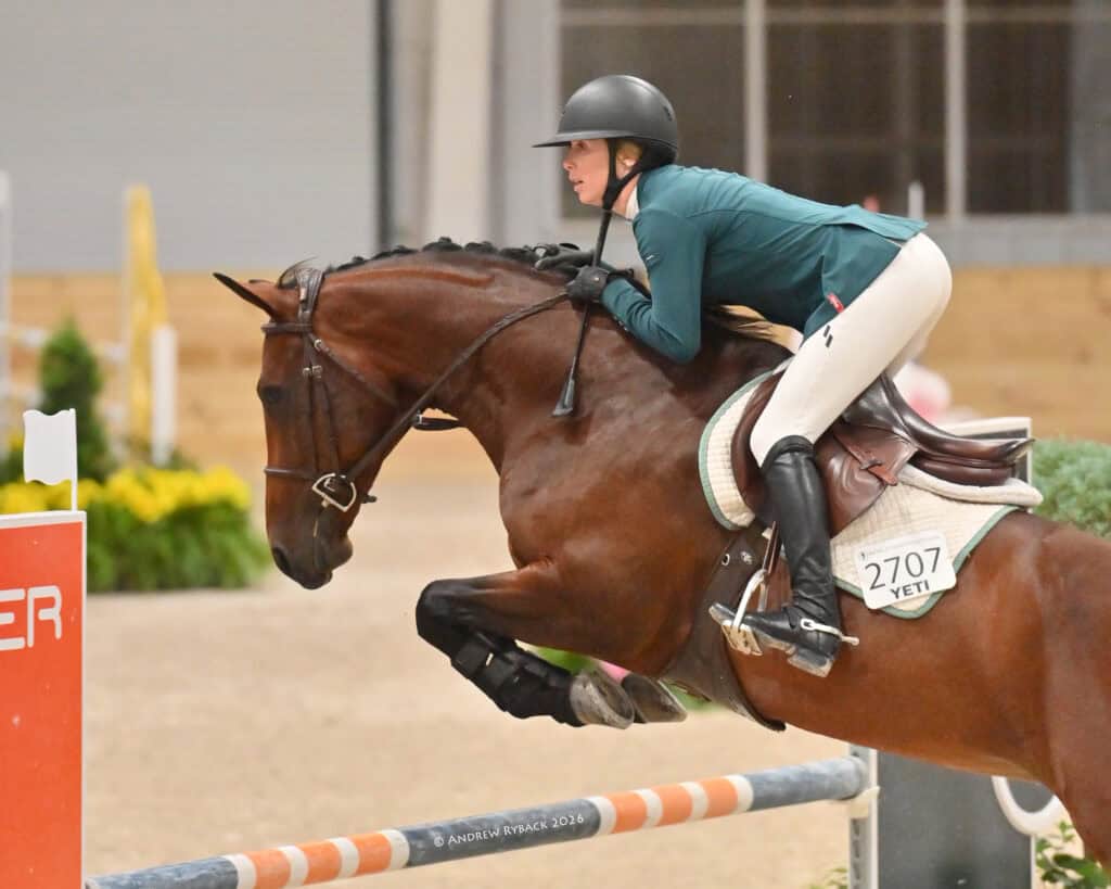A rider in a green jacket and black helmet jumps a brown horse over an obstacle during an indoor equestrian event.