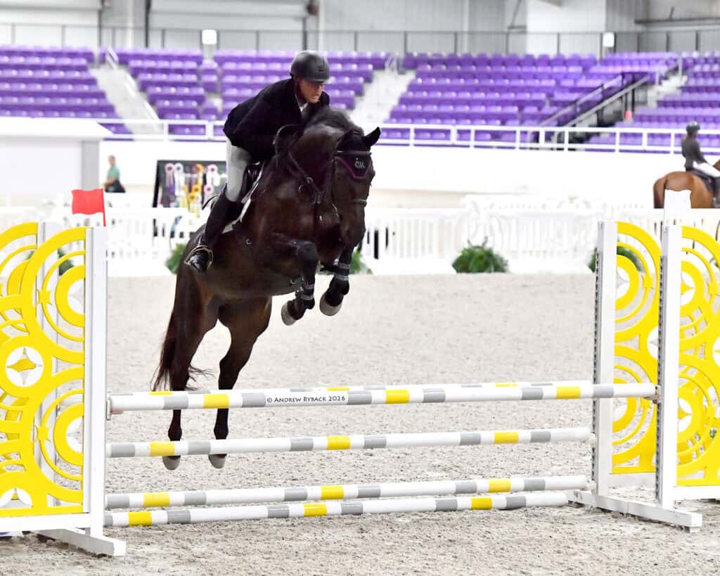 A rider in a black outfit and helmet guides a dark horse over a yellow and white jump in an indoor equestrian arena with purple seating.