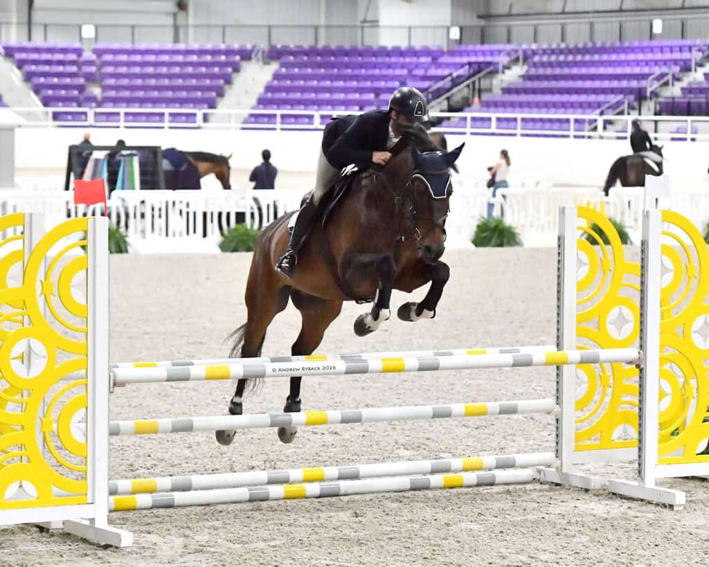 Equestrian rider in black attire and helmet jumps a brown horse over a yellow and white obstacle in an indoor arena with purple spectator seats.