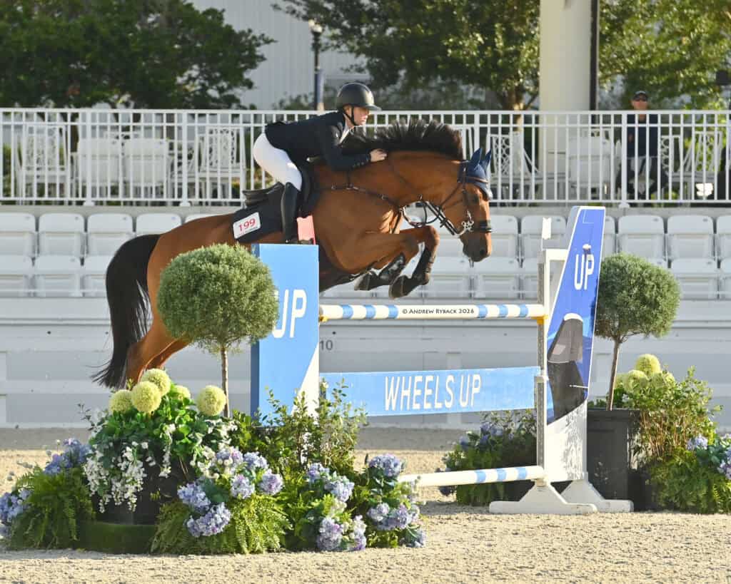 Equestrian rider jumping a brown horse over a blue and white obstacle labeled "Wheels Up" during a show jumping competition.