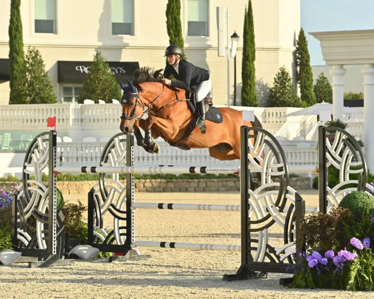Equestrian rider in helmet and jacket jumps a brown horse over a decorative obstacle during a show jumping competition outdoors.