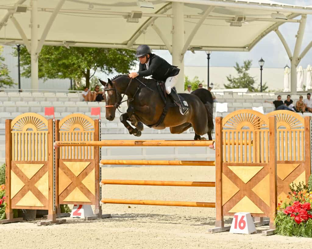 Equestrian rider in black attire and helmet jumps a dark horse over a wooden obstacle during a show jumping competition in an outdoor arena.