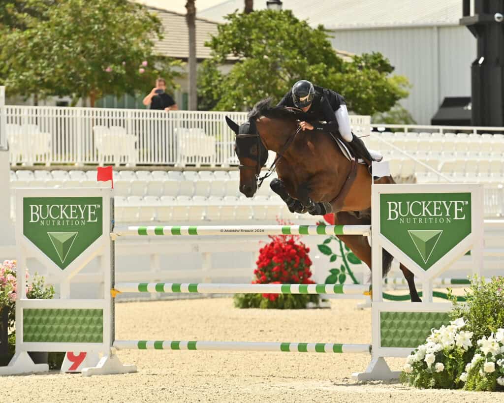 Equestrian rider and horse jump over a green and white obstacle at a show jumping event, with Buckeye Nutrition branding visible.