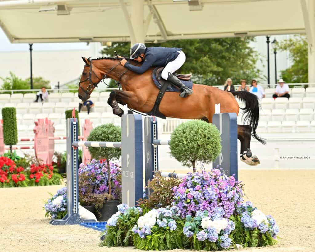 An equestrian rider on a brown horse jumps over a hurdle decorated with flowers during a show jumping competition in an outdoor arena.