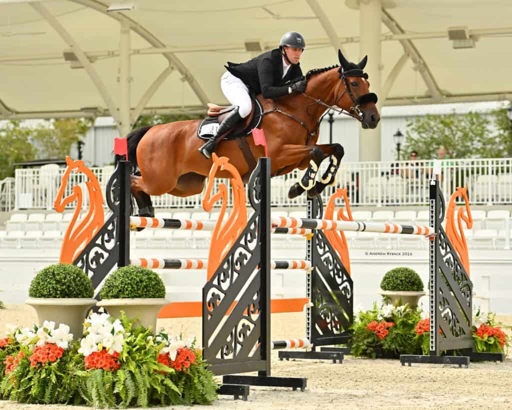 Equestrian rider in black jacket and helmet jumps a brown horse over an obstacle with orange horse-head designs in an outdoor arena.