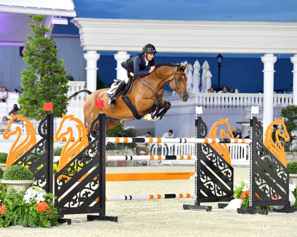 A rider on a brown horse jumps over a fence during an equestrian competition, with white columns and spectators in the background.