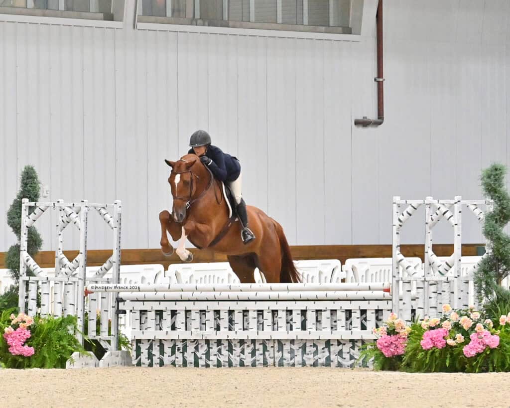 Equestrian rider in a black jacket and helmet jumps a chestnut horse over a white fence in an indoor arena decorated with flowers.