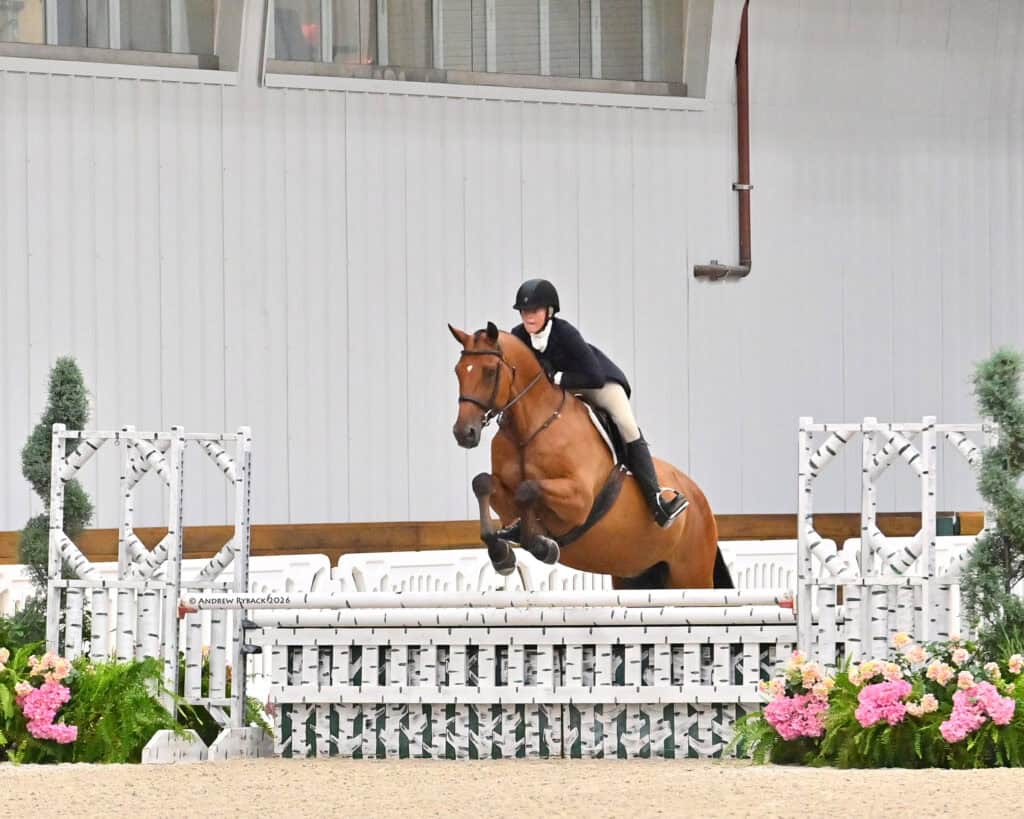 A person in equestrian attire rides a brown horse over a white jump in an indoor arena decorated with flowers and greenery.
